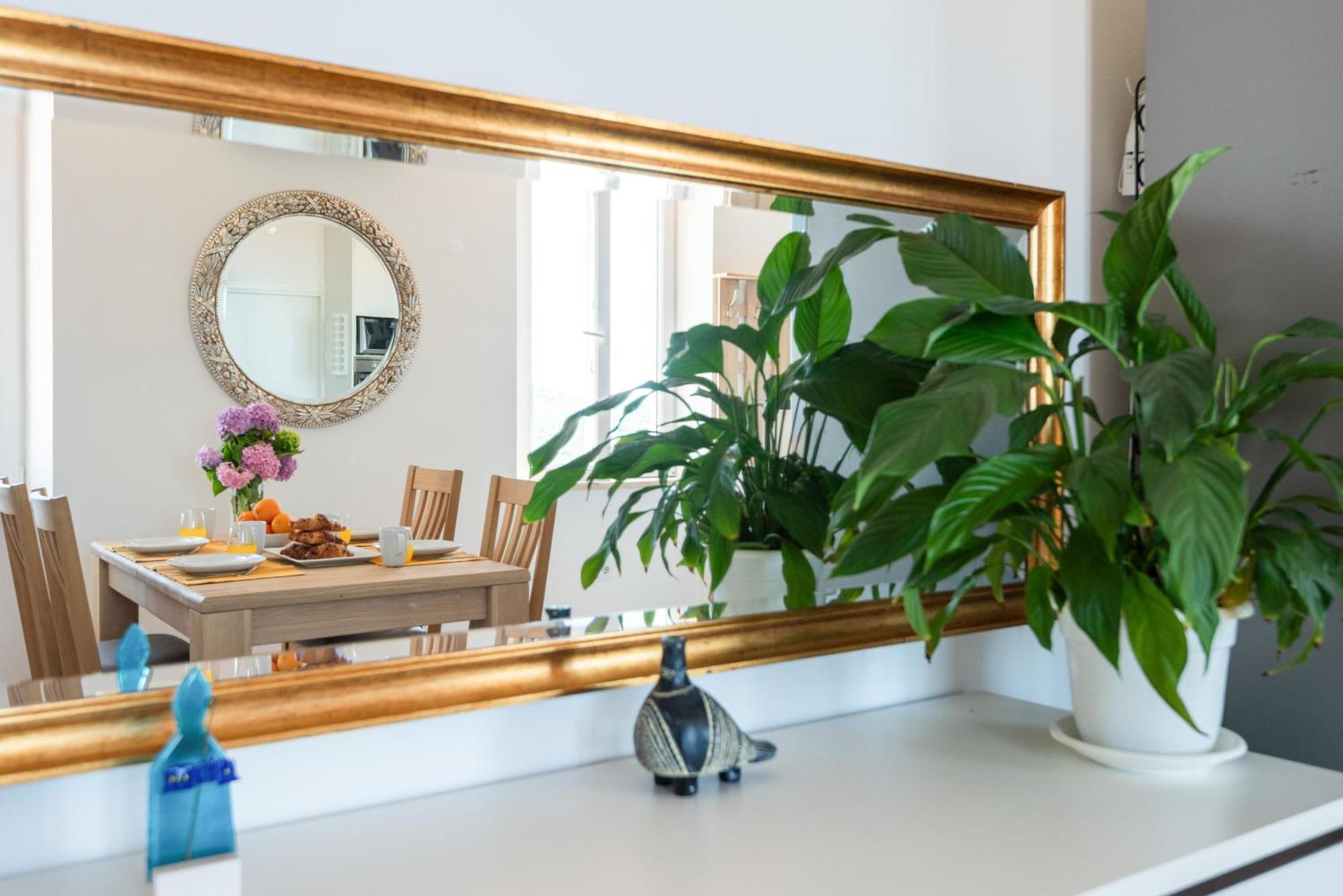 Apartment Astelas دوبروفينك المظهر الخارجي الصورة